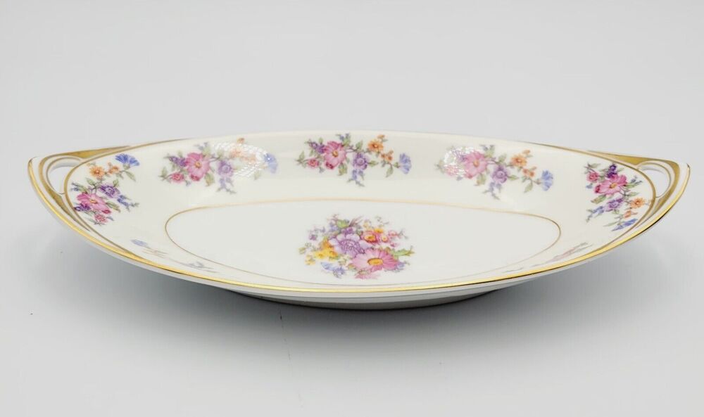 RARE MAGNIFICENT BOHEMIA FLORADORA CZECH VEGETABLE SERVING Plate 10" x 4.5"